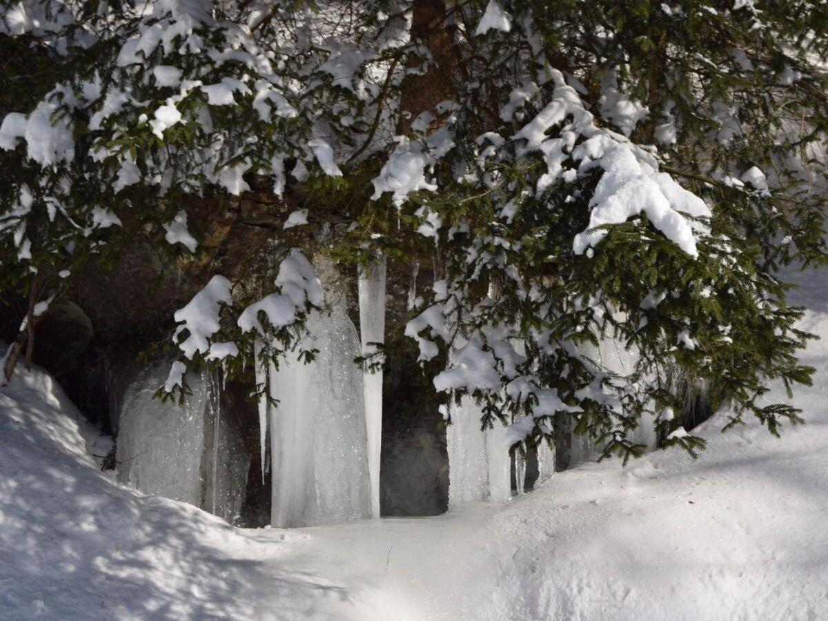 Apartmán Ravensberg Bad Sachsa Exteriér fotografie